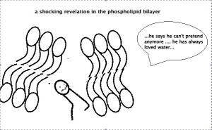 rebellion in the  lipid bilayer ranks